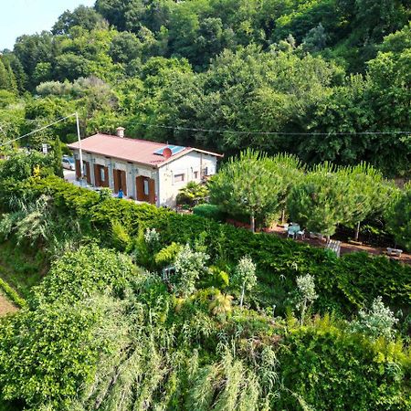 그로테 디 카스트로 Agriturismo Le Fontane - Lago Di Bolsena 빌라 외부 사진