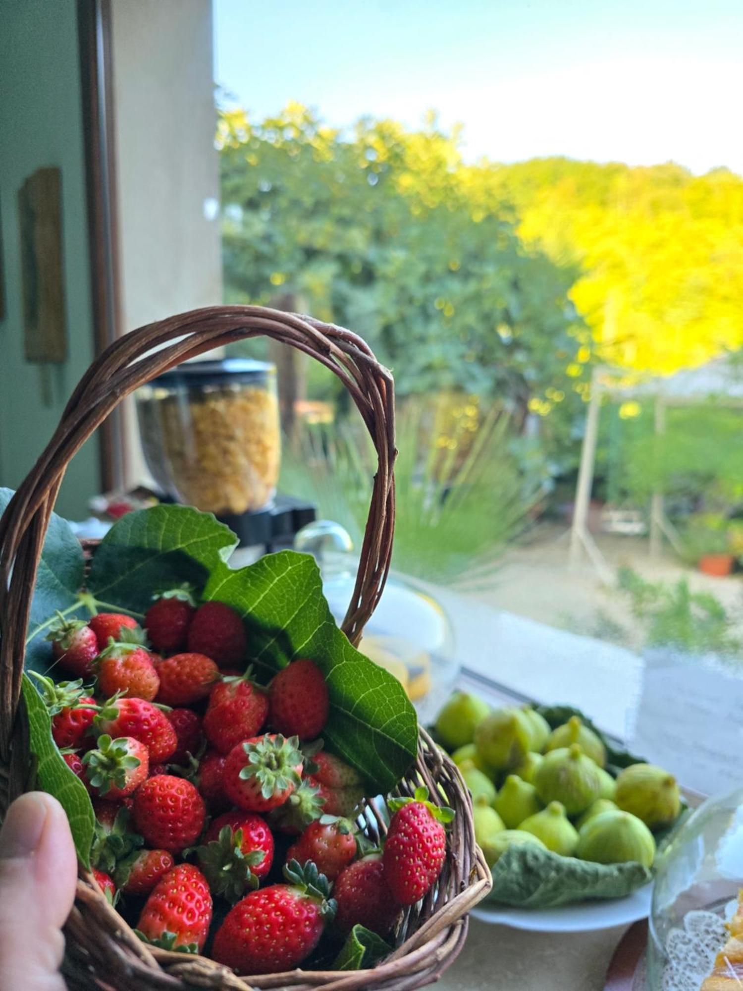 그로테 디 카스트로 Agriturismo Le Fontane - Lago Di Bolsena 빌라 외부 사진