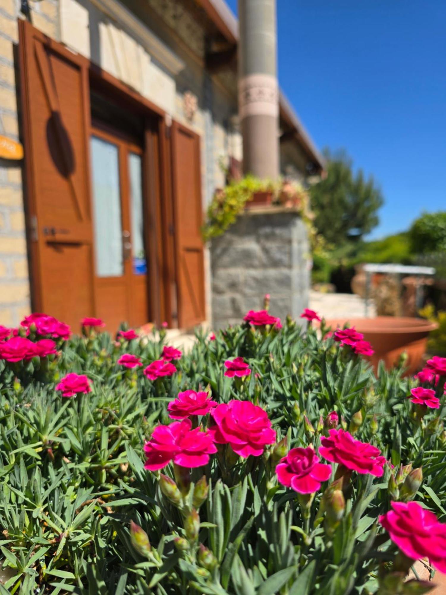 그로테 디 카스트로 Agriturismo Le Fontane - Lago Di Bolsena 빌라 외부 사진